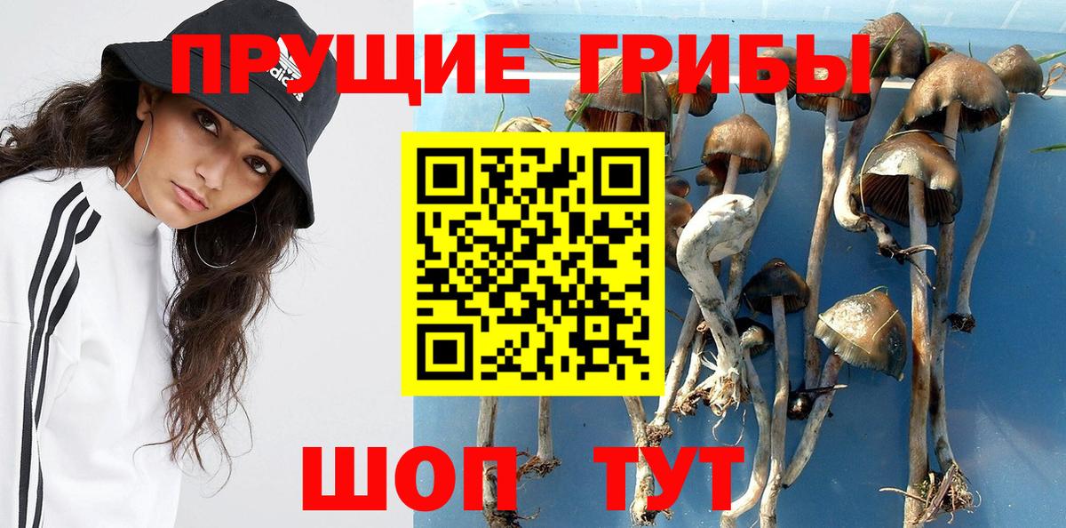 Галлюциногенные грибы Psilocybe  Псилоцибиновые грибы MAGIC MUSHROOMS  Вход с VPN  закладка  Белорецк 