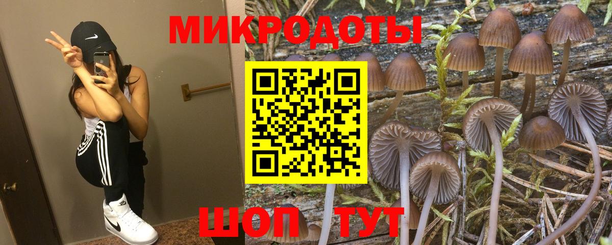 Псилоцибиновые грибы Psilocybine cubensis Белорецк